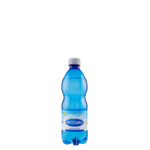 Acqua Recoaro Frizzante 24x 0.50 cl. PET
