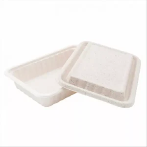 VASSOI + COPERCHIO ‘BIONIC’ 800 ML 19,3×13,5×5 CM NATURALE BAGASSA (400 UNIT)