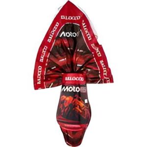 Moto Gp Uovo di Pasqua gr 240 versione a scelta