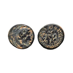 Antiochia, Seleucia di Pieria – Æ15 (Epoca di Nerone, 54-68 d.C.) – Apollo / Alloro