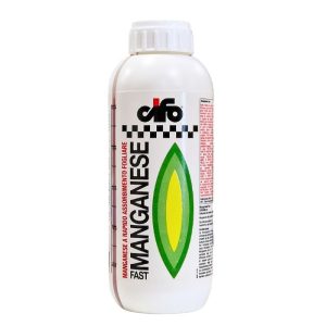 MANGANESE FAST LT 1